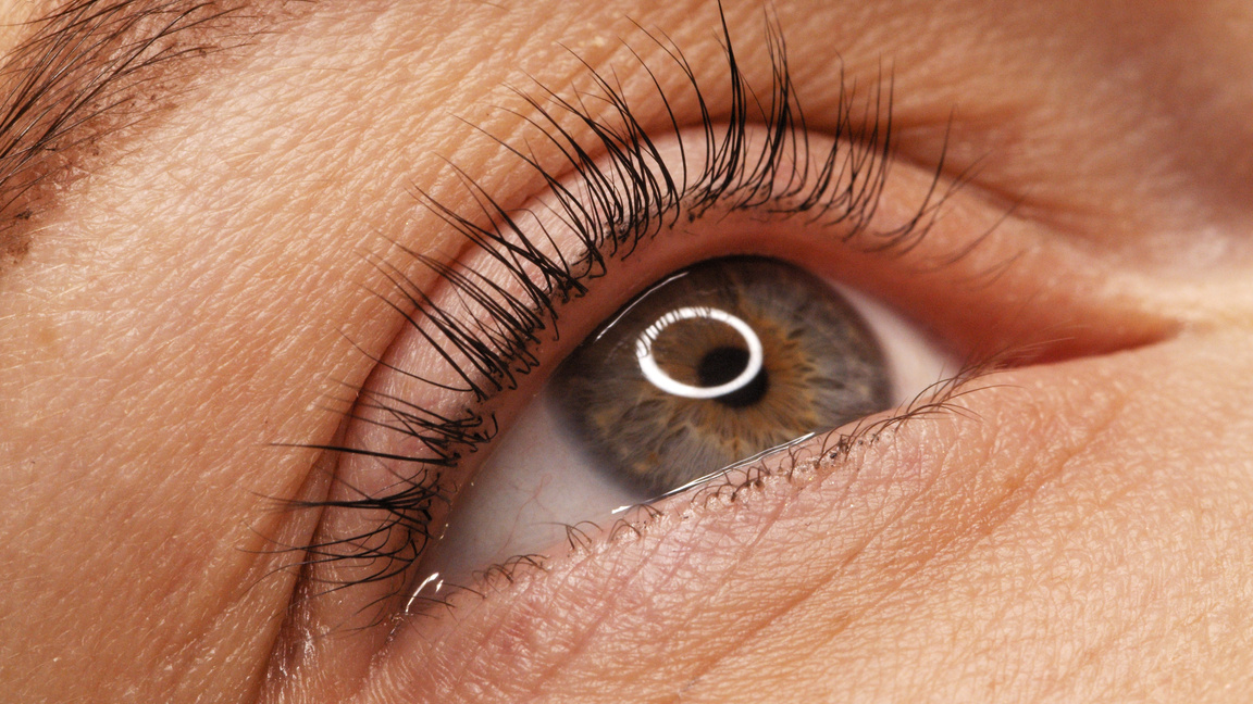 A Woman's Eye with Long Black Eyelashes after Lamination. Closeu